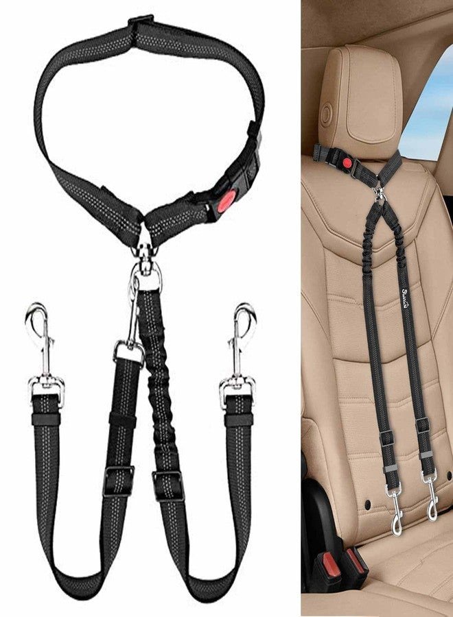 Lukovee Double Dog Seat Belt, New Dual Pet Car Headrest Restraint Safety Seatbelt No Tangle Dog Leash Duty Adjust Elastic Bungee Puppy Lead Splitter Connect Harness in Vehicle Travel (B-Detachable) - Image 1